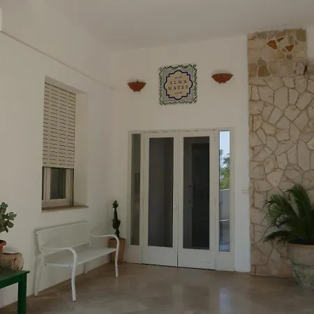 Affitta Alma Mater Guest house